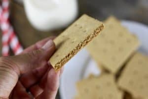 grain free graham crackers 2