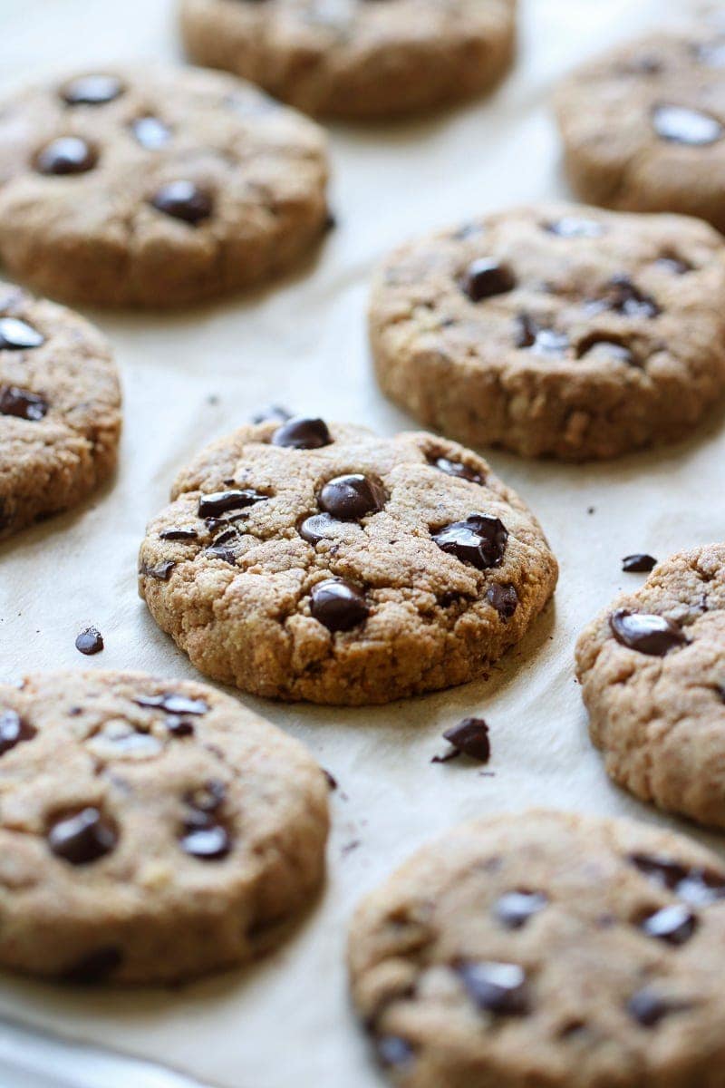 Freshly baked Paleo Chocolate Chip Cookies on a baking sheet lined with parchment paper.
