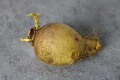 15 Whole30 Carb Sources | Whole30 approved carbs | what to eat on Whole30 | Whole30 approved fruits and vegetables | carb sources for Whole30 | healthy carb options | how to eat healthy carbs || The Real Food Dietitians