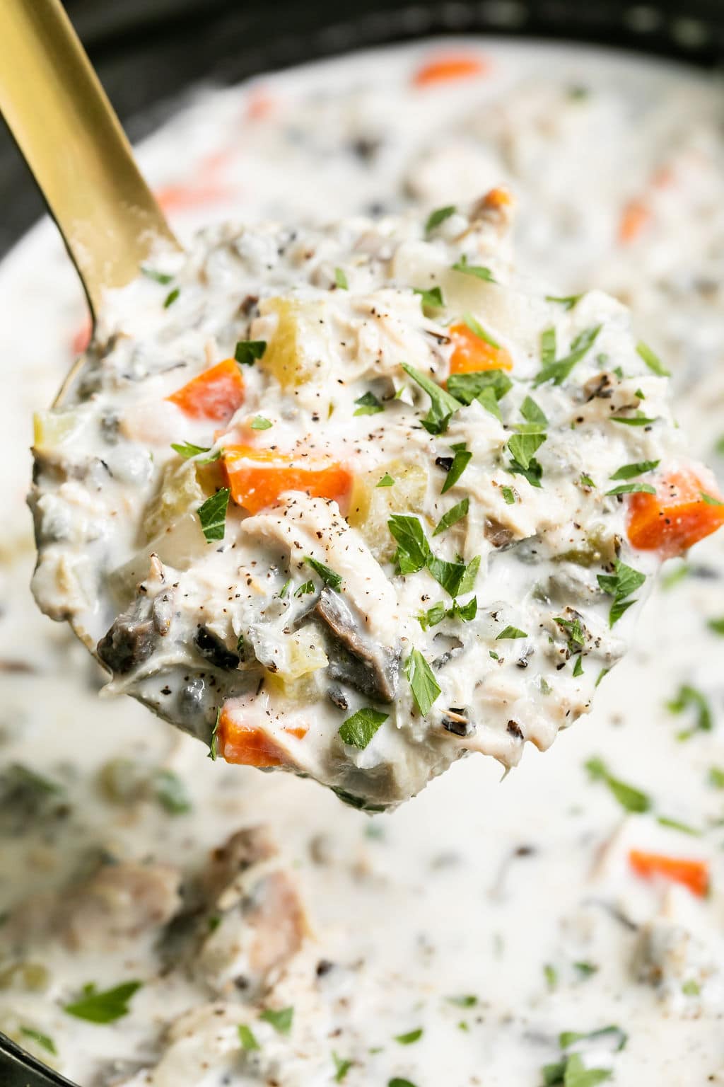 A ladle filled with creamy chicken wild rice soup