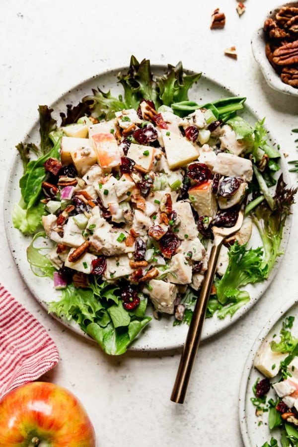 Cranberry Chicken Salad with Apples on a white plate served over a bed of greens with a gold fork.
