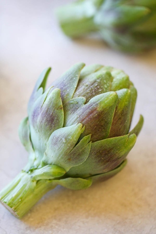 One bright green artichoke laying on it's side with white droplets on the petals.