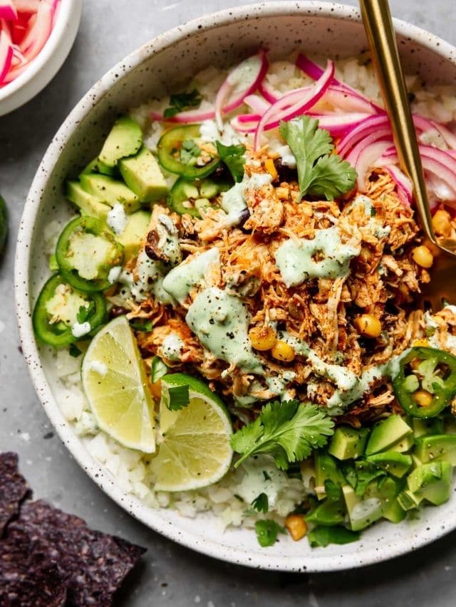 Instant Pot Salsa Chicken
