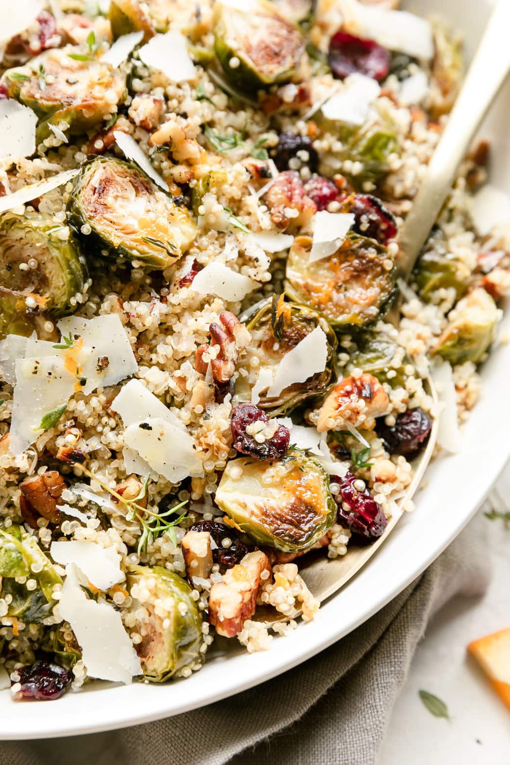 Close up view of a brussels sprouts thanksgiving side dish topped with shaved parmesan and cranberries.