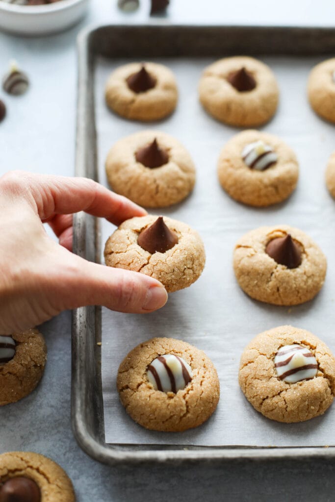 A peanut butter blossom cookie with chocolate kiss being picked up from baking sheet with cookies lined up in rows.