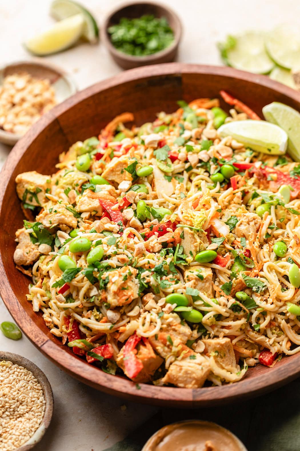Close up view of a bowl of Cold Noodle Salad with Peanut Sauce topped with edamame beans and green onions. 