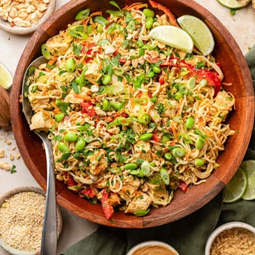 Overhead view of a bowl of Cold Noodle Salad with Peanut Sauce garnished with lime wedges.
