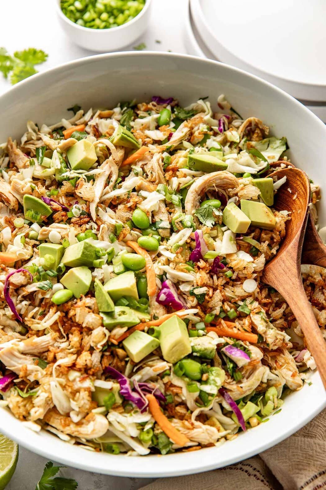 Close up view of a colorful tossed crispy rice salad showing the crispy and crunchy texture of vegetables and rice. 