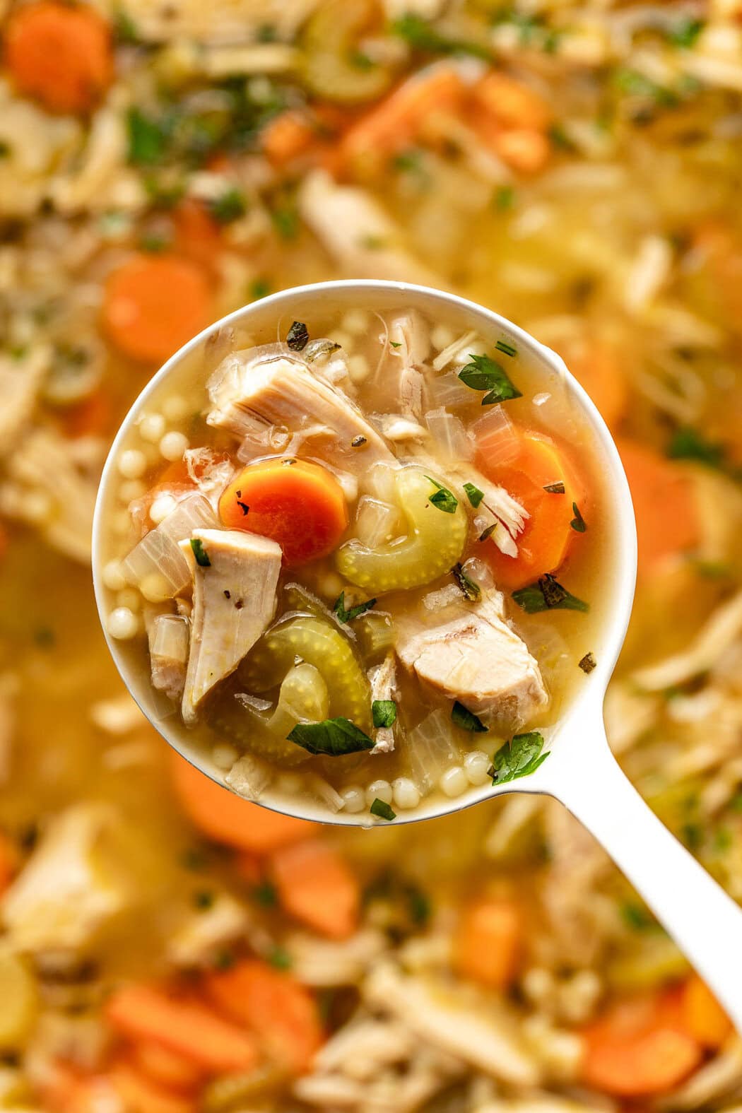 Close up view of a ladle filled with Turkey Soup showing the pieces of carrots and celery.