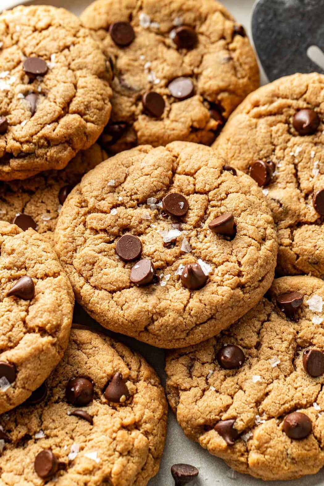 Close up view of a plate of Protein Cookies topped with chocolate chips and sprinkled with flakey sea salt.
