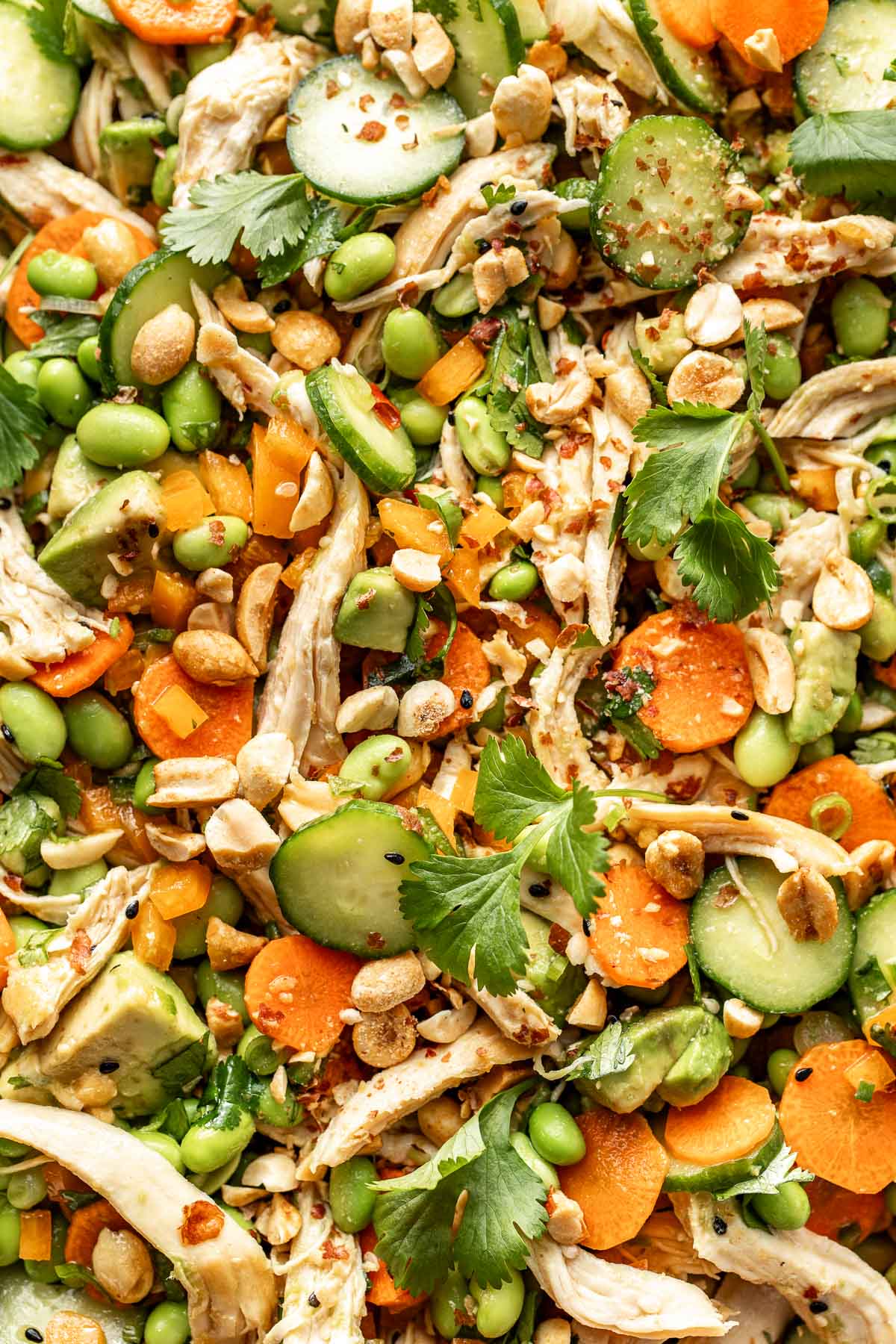 Close up view of a chopped Thai chicken salad with edamame beans and fresh cilantro. 