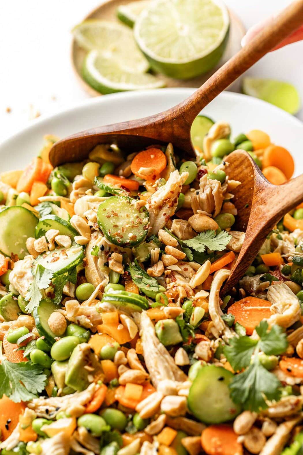 Close up view of a Thai chicken salad topped with fresh cilantro and sprinkled with chopped peanuts.