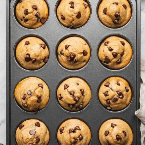 Overhead view of a freshly baked muffin pan of peanut butter protein muffins studded with chocolate chips.
