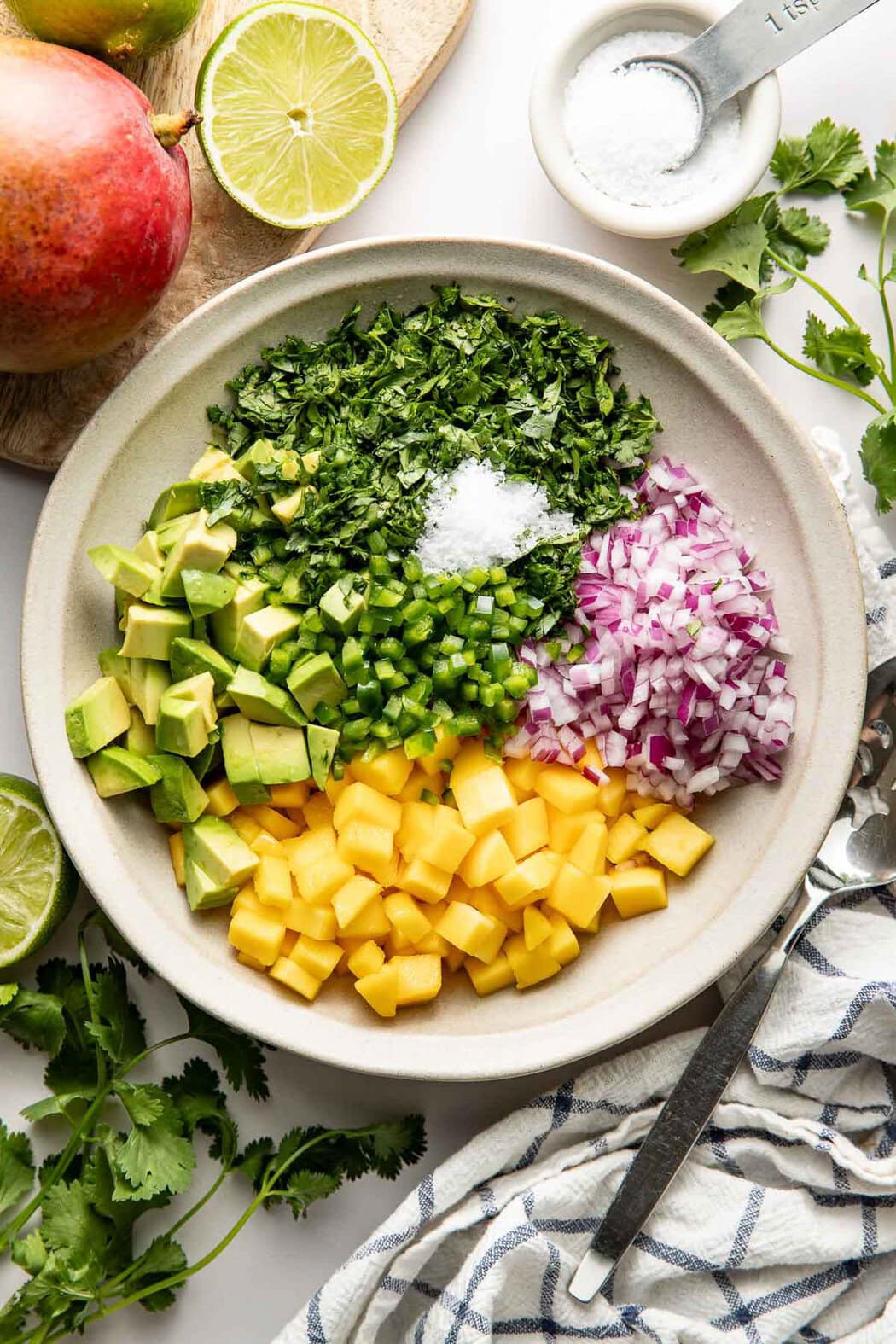 Overhead view of a bowl of ingredients for Mango Salsa arranged in sections surrounded by fresh cilantro.